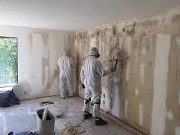 Professional Mold Remediation in Sandpoint, ID